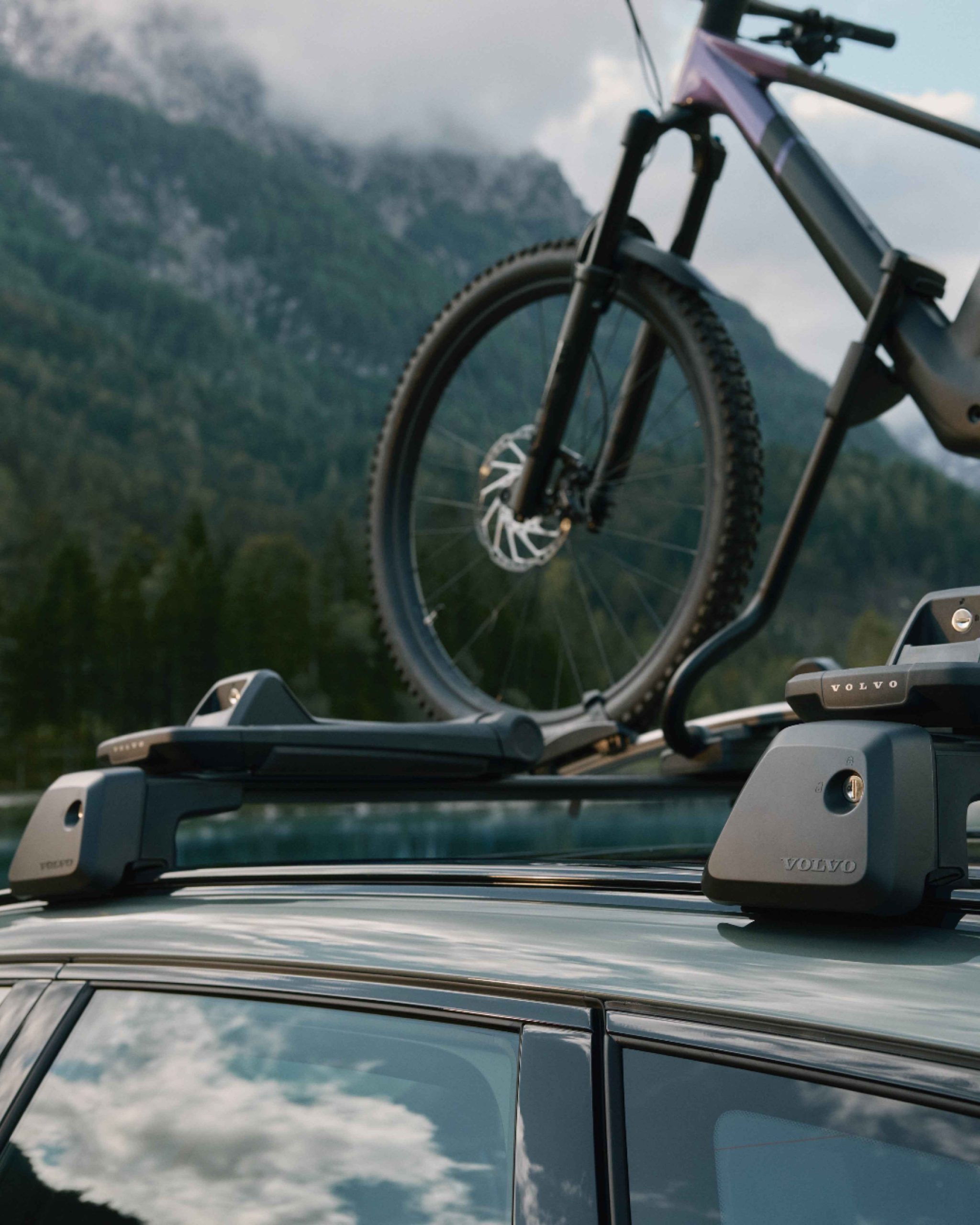 Spotlight_callout_4-4x5_44_11zon